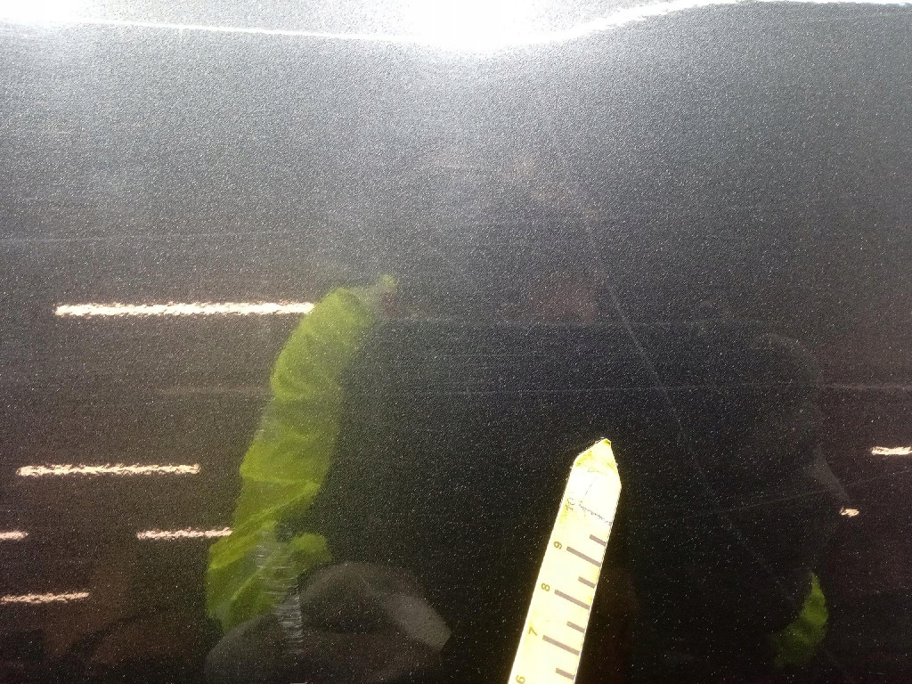 фото №10, Hyundai ix35 i двері перед праве передні 5k