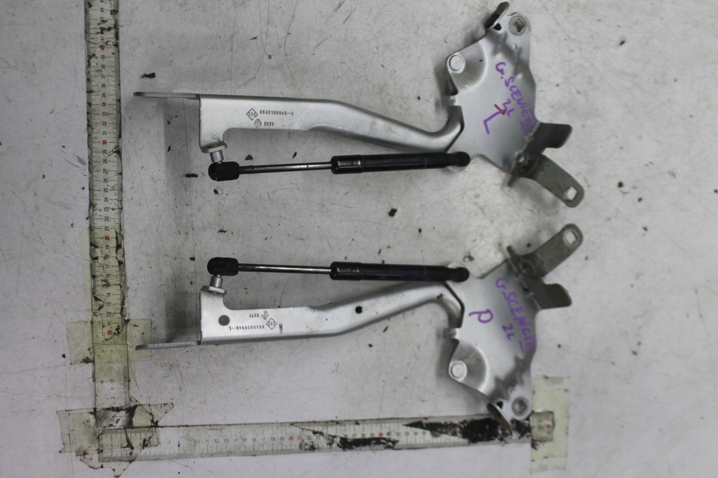 фото №1, Петля петли капот комплект scenic iii ted69 13-