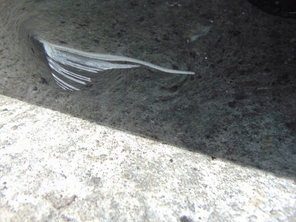 фото №11, Дверь правый задняя mercedes glk w204 lift