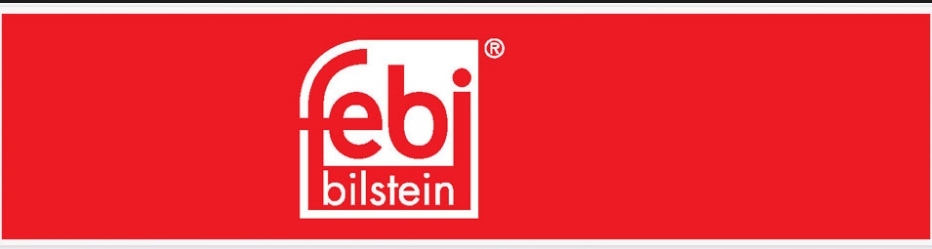 15594 - febi bilstein - ролик напрямна daewoo Ціна