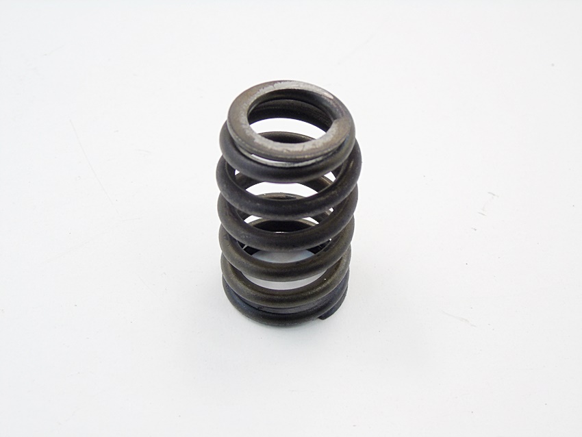 фото №1, Пружина клапана 1.5 dci modus micra laguna sandero