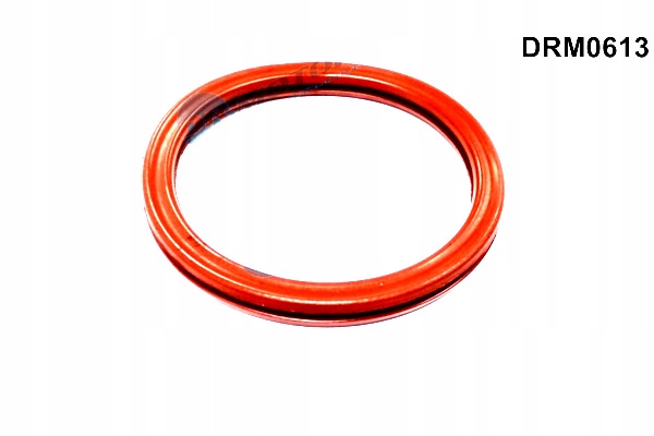 Купить Dr.motor drm0613 прокладка, патрубок дроссель