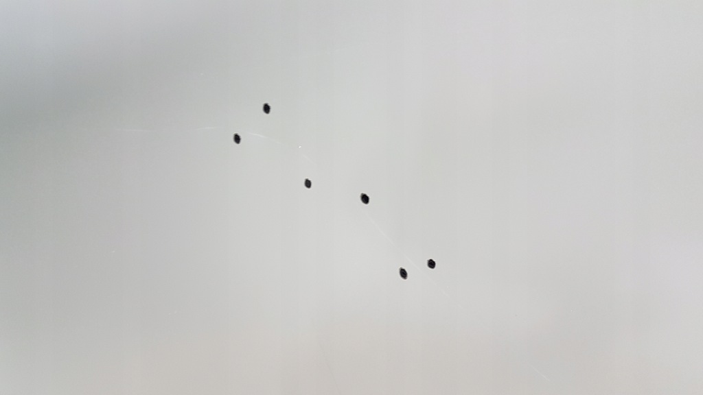 фото №6, Дверь задняя правое mg marvel 20- nowe