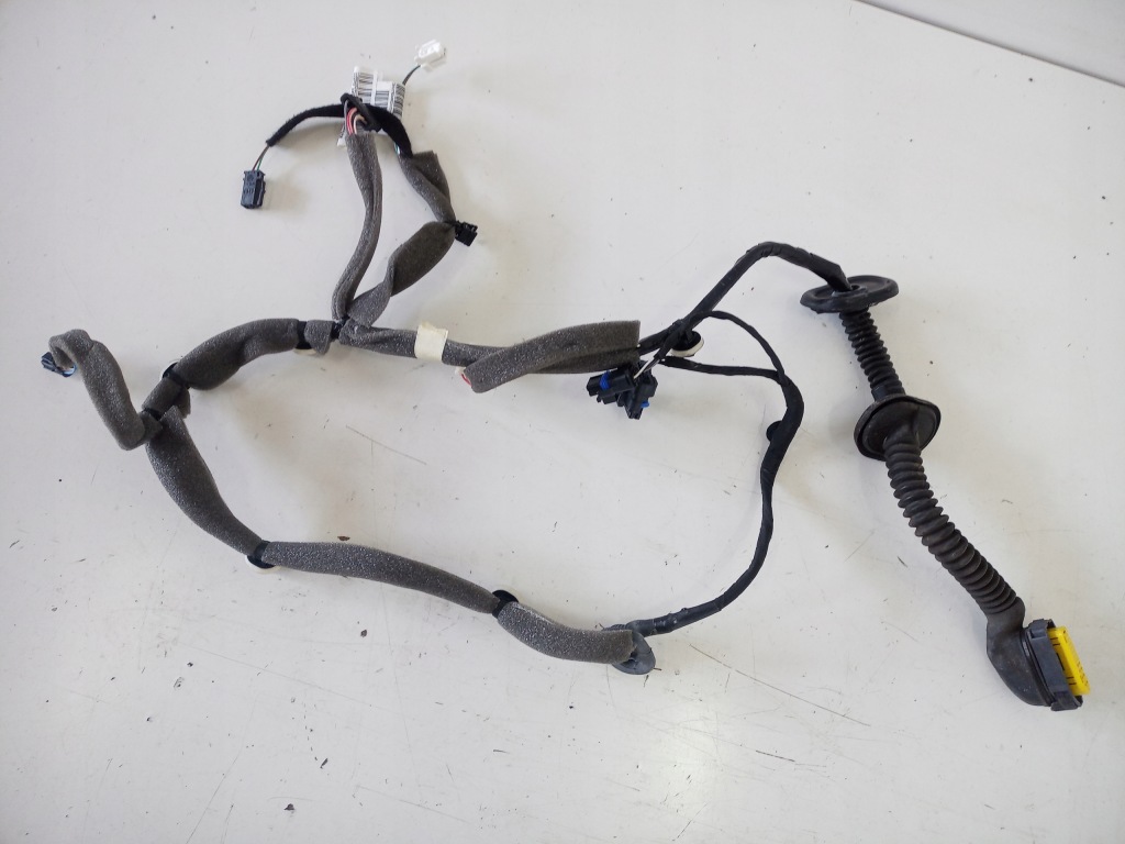 Купить Электропроводка дверь левое  задняя renault scenic 3