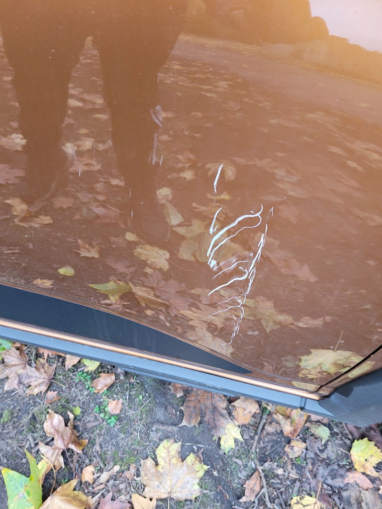 фото №6, Двері передні перед праве dacia sandero iii stepway teepy