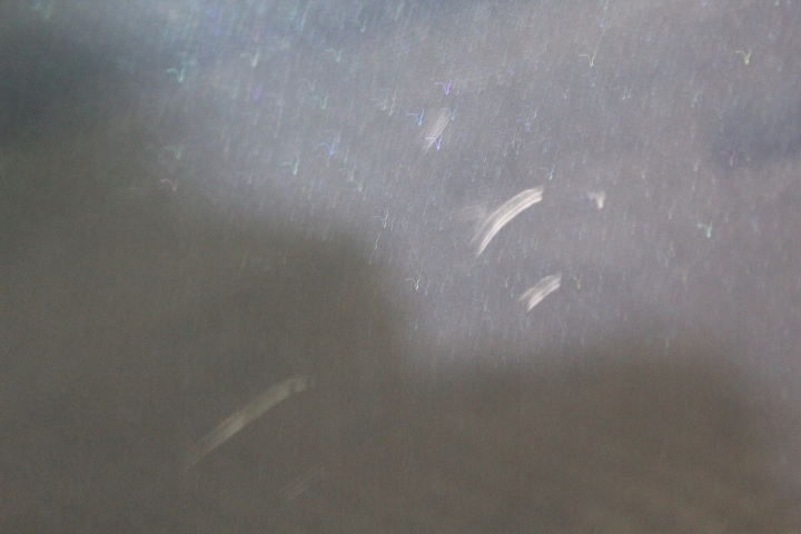 фото №4, Двері лівий задня volvo v50 466-46