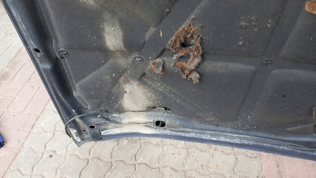 фото №5, Капот перед nissan primera 01r 2.0d