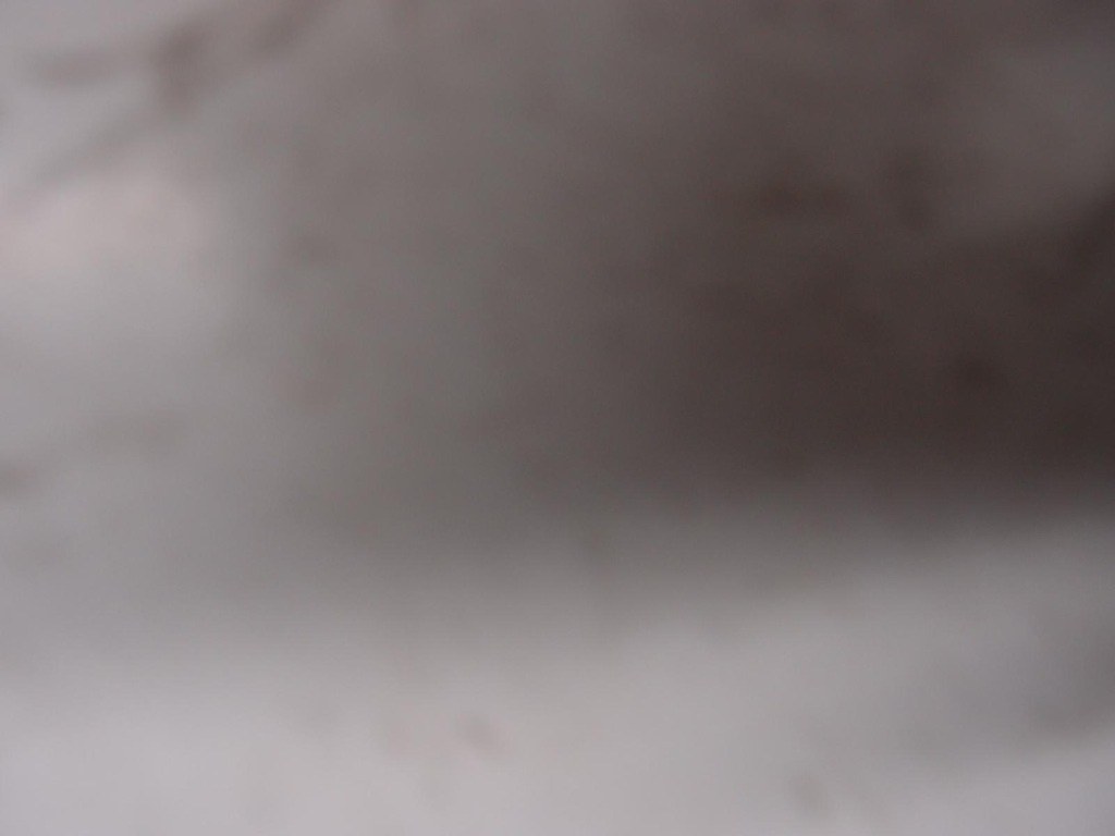 фото №10, Стекло дверь левый перед nissan leaf ii 2022r