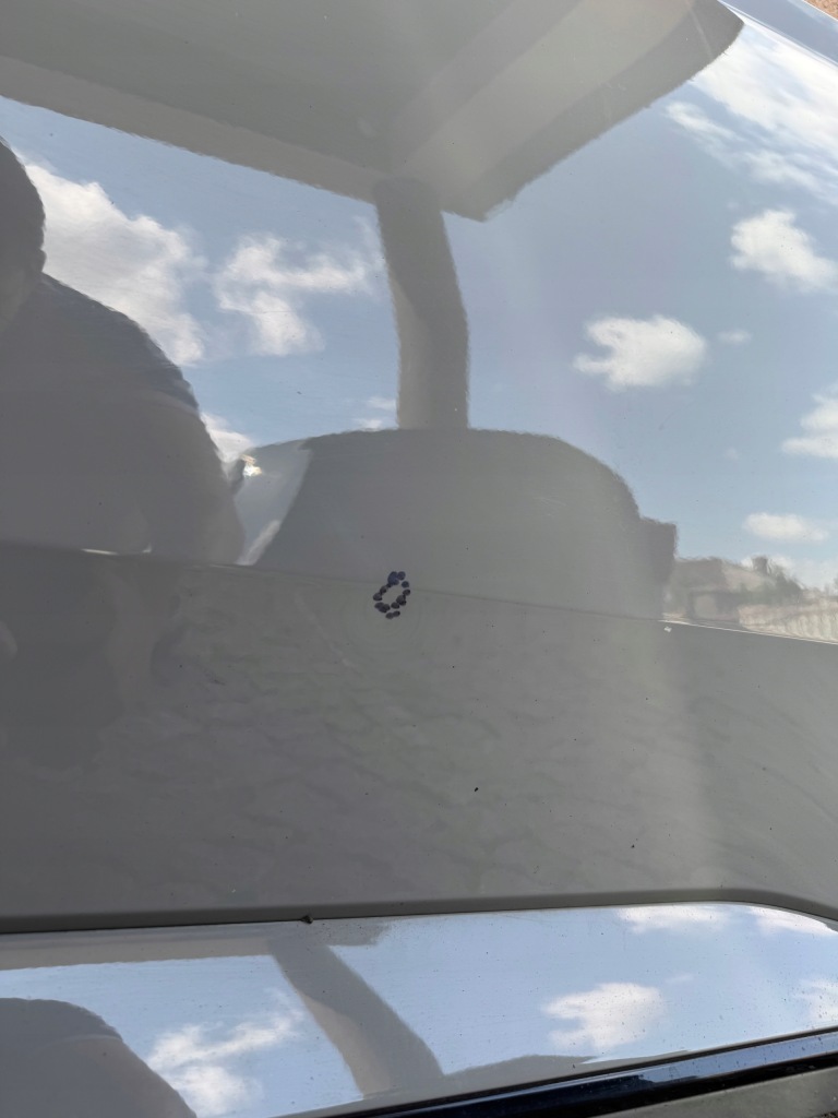 фото №12, Дверь правое передние правое задние kombi skoda superb 3 iii 3v 2015-