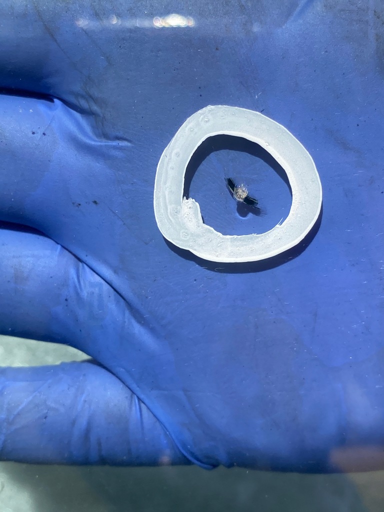 фото №4, 79 bmw x1 e84 стекло лобовое передняя