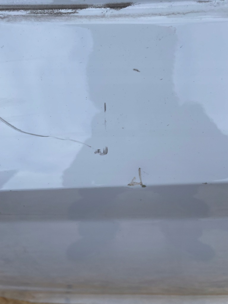 фото №7, Дверь левая передние skoda octavia iv 4 2020-