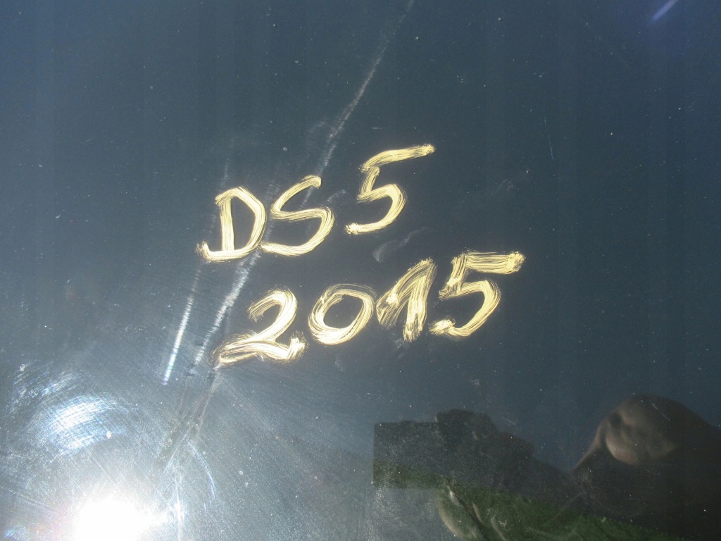 Купить Solar крыша панорама стекло ds5 рестайлинг  2015 год