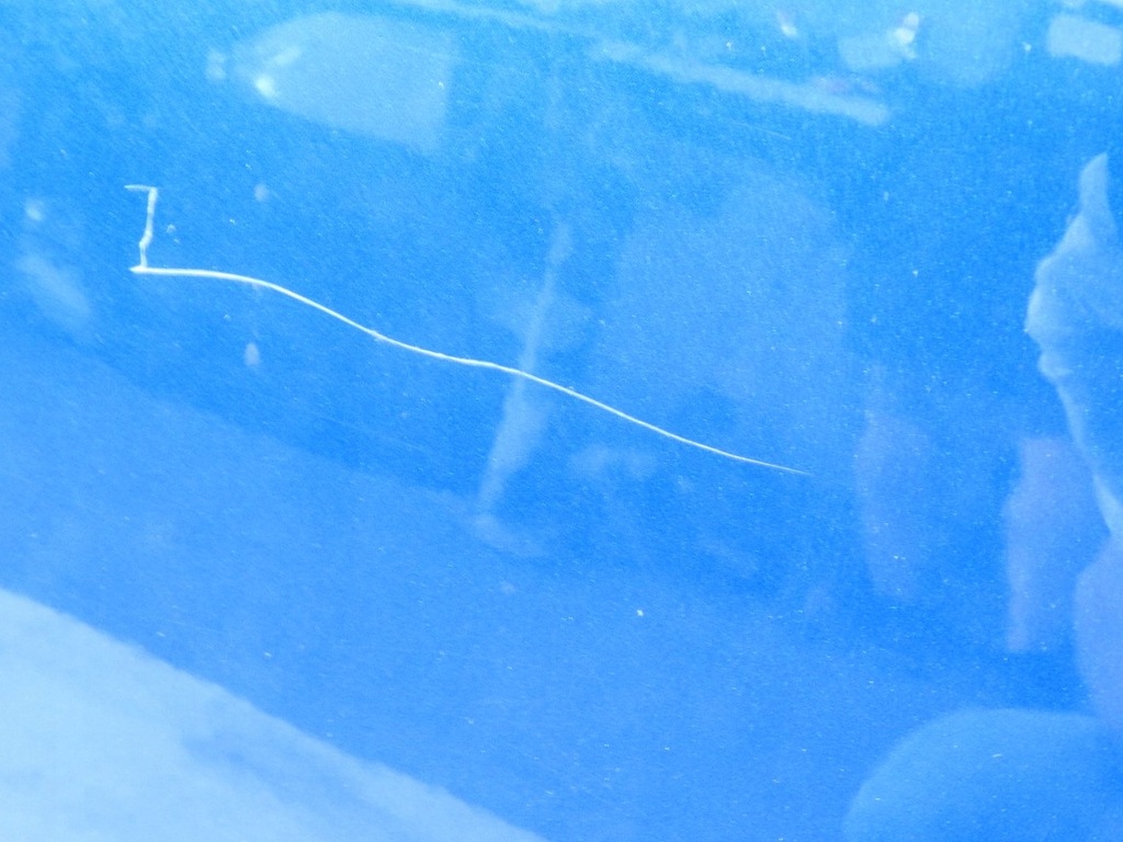 фото №7, Fiat sedici 06-12 zcg дверь левый задняя