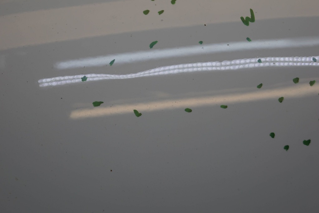 фото №11, Opel corsa d капот крышка двигателя m839