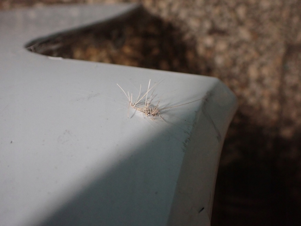 фото №10, Бампер перед audi a4 b9 15-19 11228