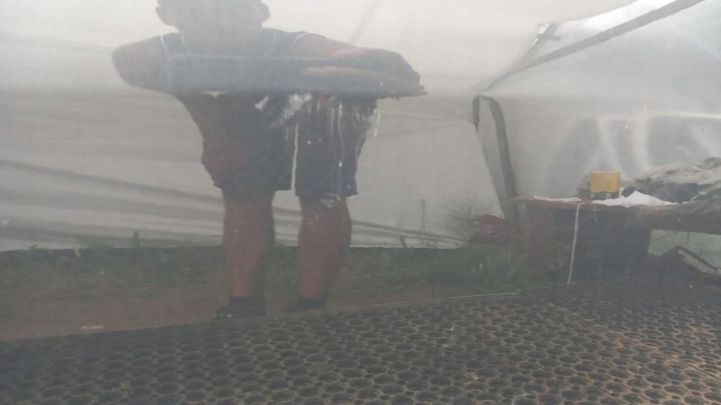 фото №11, Audi tt 8n дверь перед правый lz7j