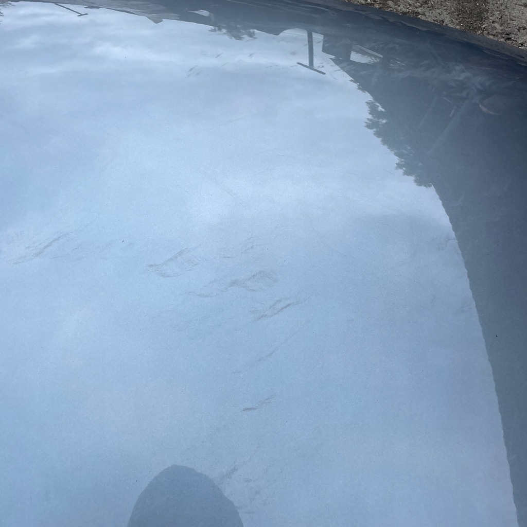 фото №14, Капот кришка двигуна volvo xc60 ii 2017-2025 31424557