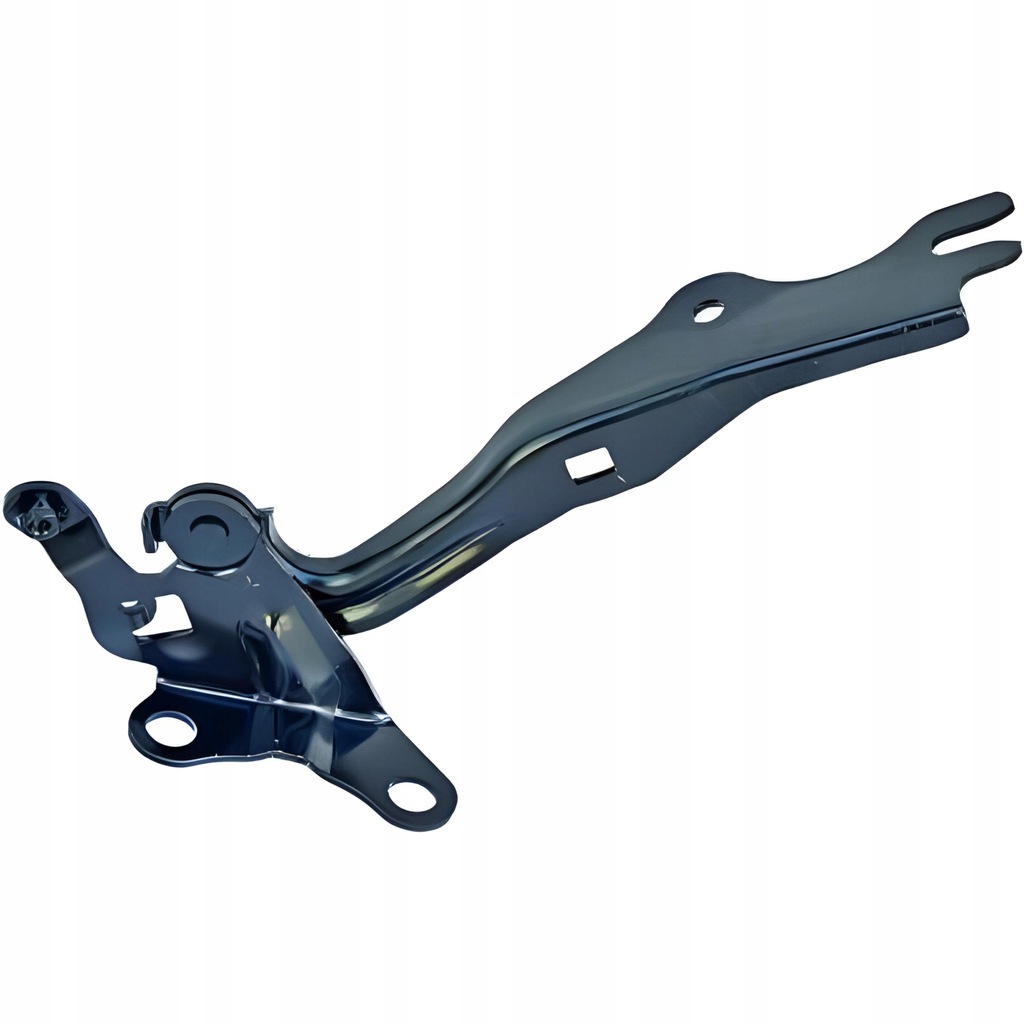 фото №1, Diederichs 5625018 петля, кришка відсік двигуна