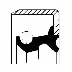 Купити Кільце ущільнювальний ступиця задній 19019057b