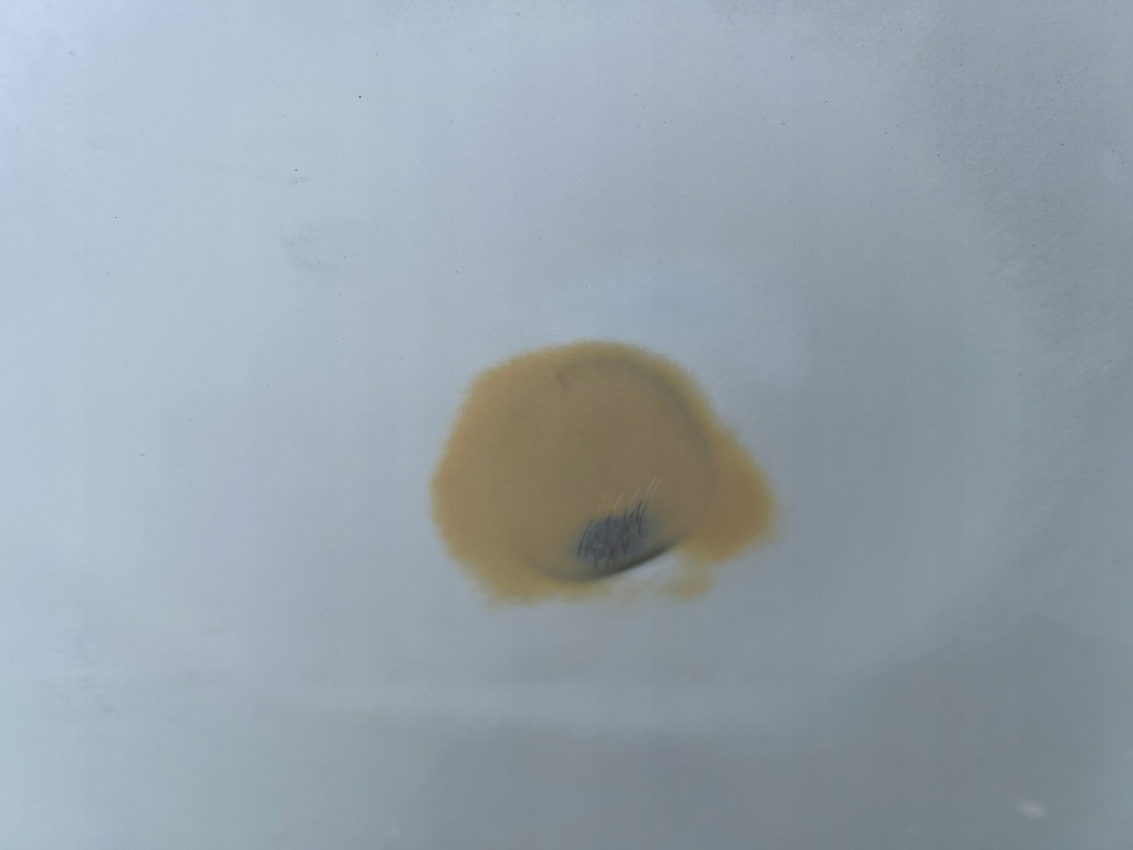 фото №8, Tesla 3 капот