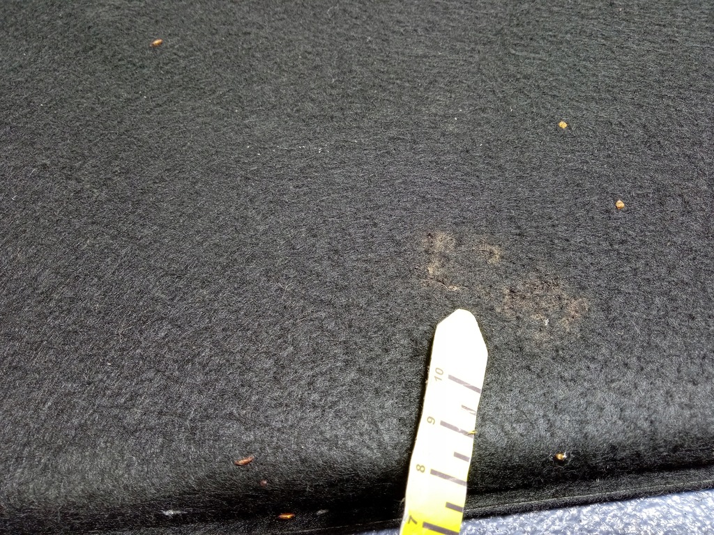 фото №10, Audi q4 e-tron обшивка підлога багажника 89a863463