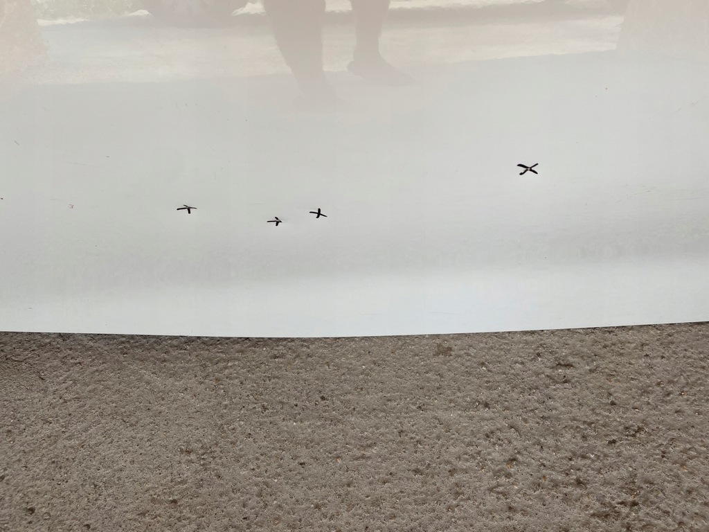 фото №10, Bmw z4 g29 дверь правое poznań