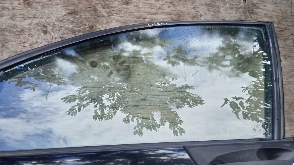 фото №10, Smart for four 454 двері перед лівий