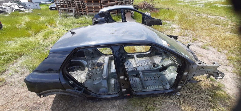 фото №3, Крыша citroen c4 cactus lift