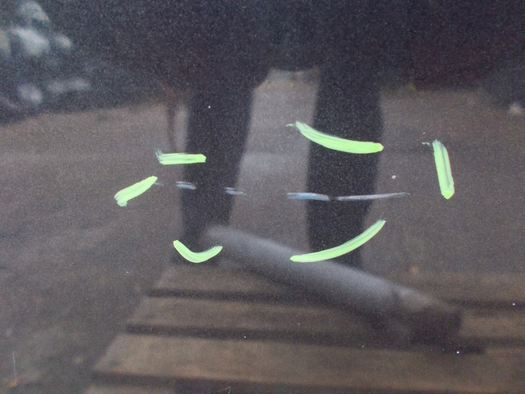 фото №11, Peugeot 607 капот кришка двигуна