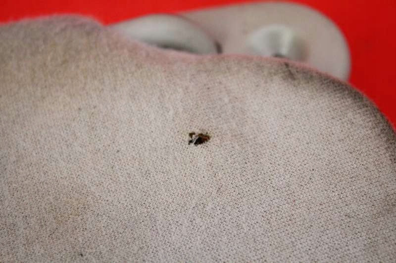 фото №4, Захист сонцезахисна eu toyota corolla e12 00-08