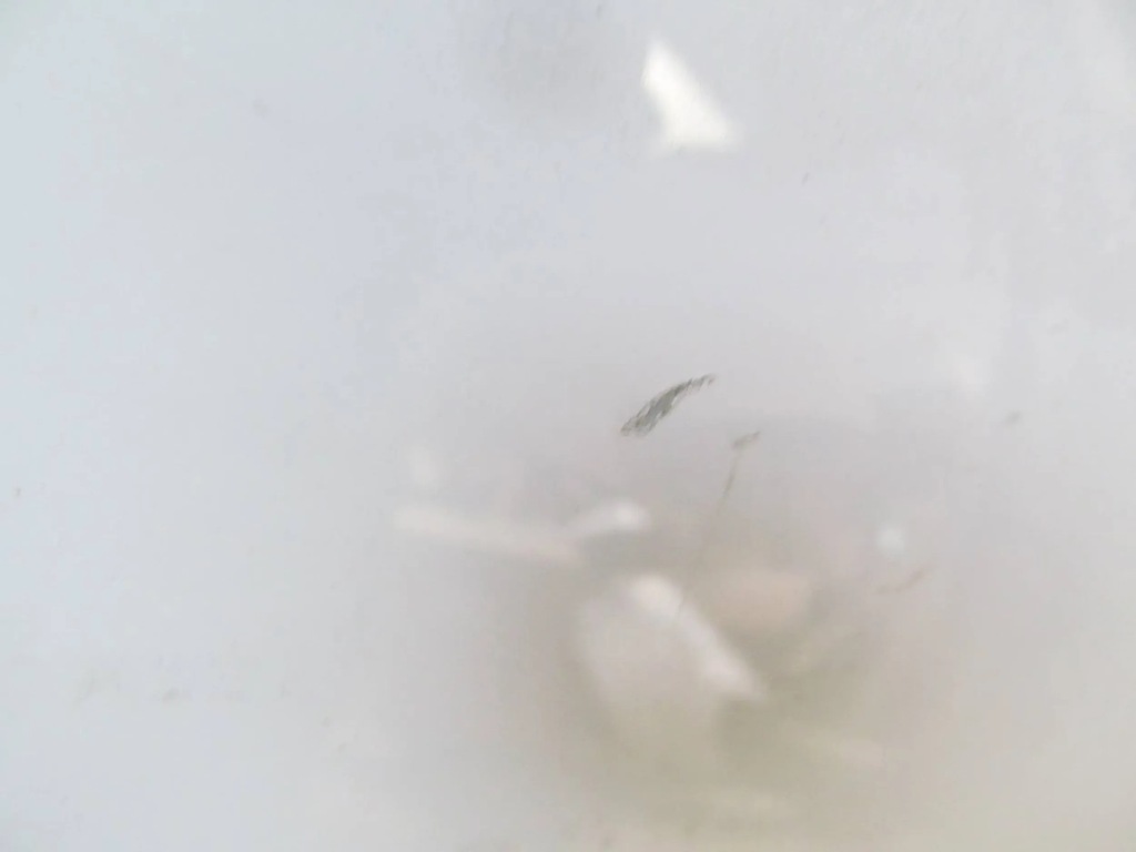 фото №16, Ford transit courier 14-23 дверь правый перед передние правое c410