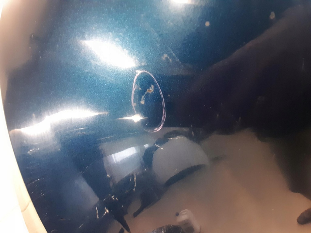 фото №7, Капот skoda superb iii