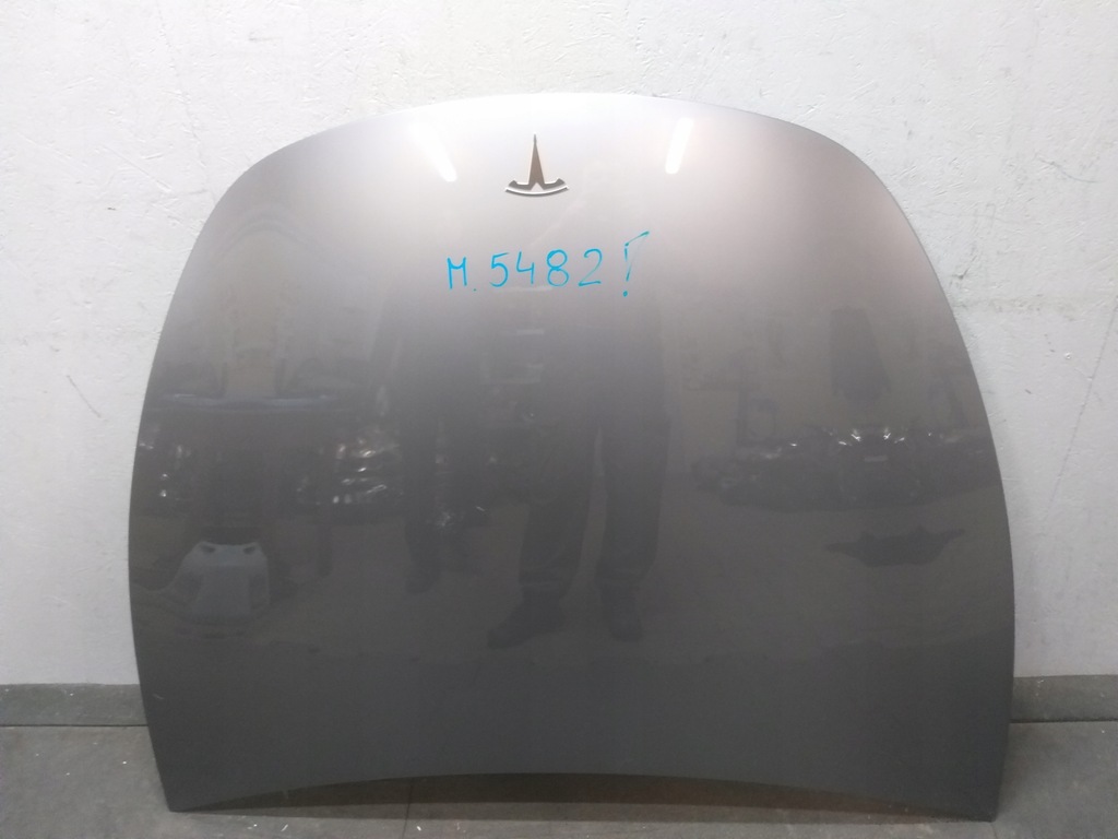 фото №1, Капот tesla y