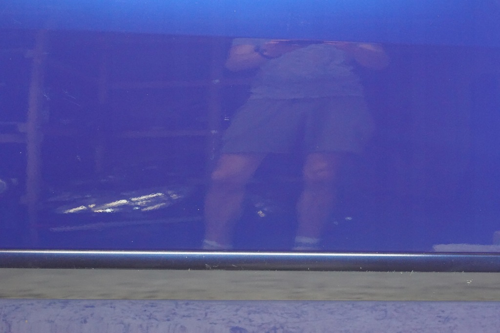 фото №7, Дверь правый перед mitsubishi colt vi cabrio