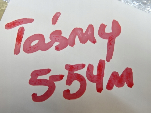 фото №5, Peugeot 3008/5008 ii захист заглушка тунель середнього 9809990177