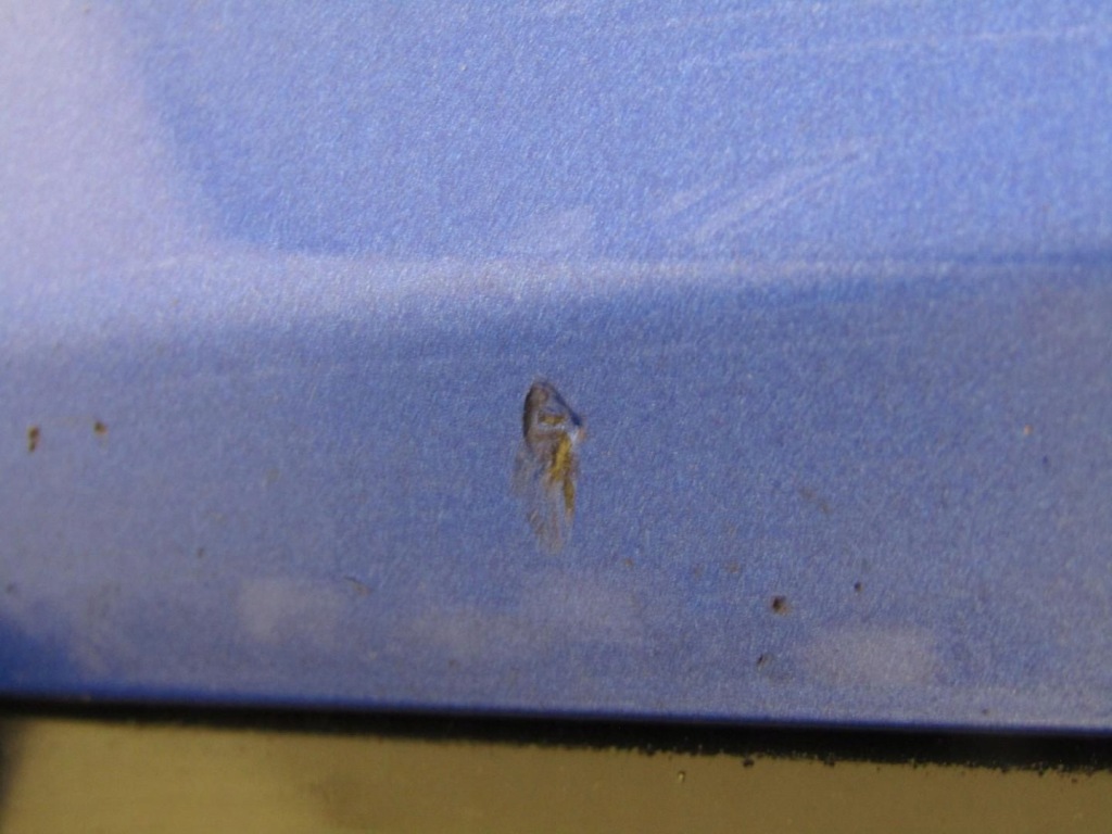 Купити Бампер передній перед b593m honda civic x