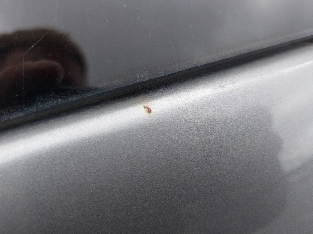 Комплектный  задний  chevrolet equinox 1 wa232m крышка багажника бампер фонари Оригинал