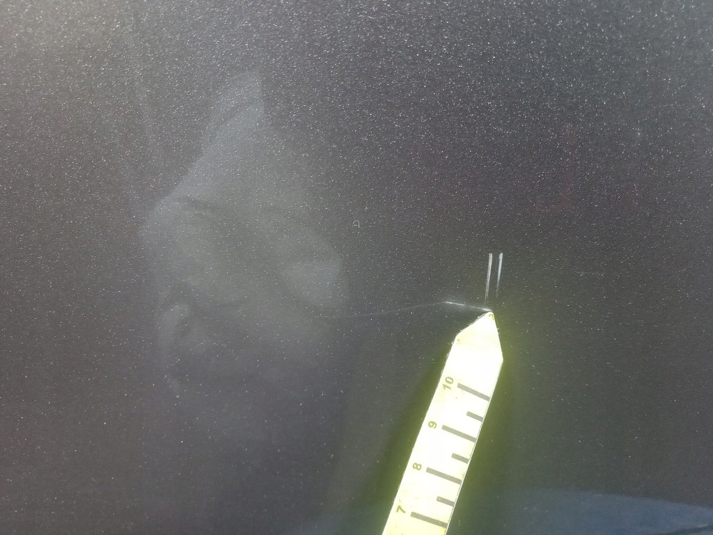 фото №7, Toyota yaris verso двері задня праве 01 1d2