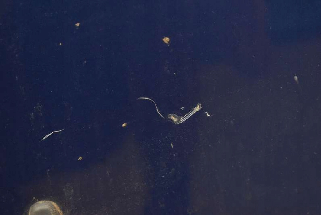 фото №8, Капот кришка двигуна niebieska volvo v50 04-12