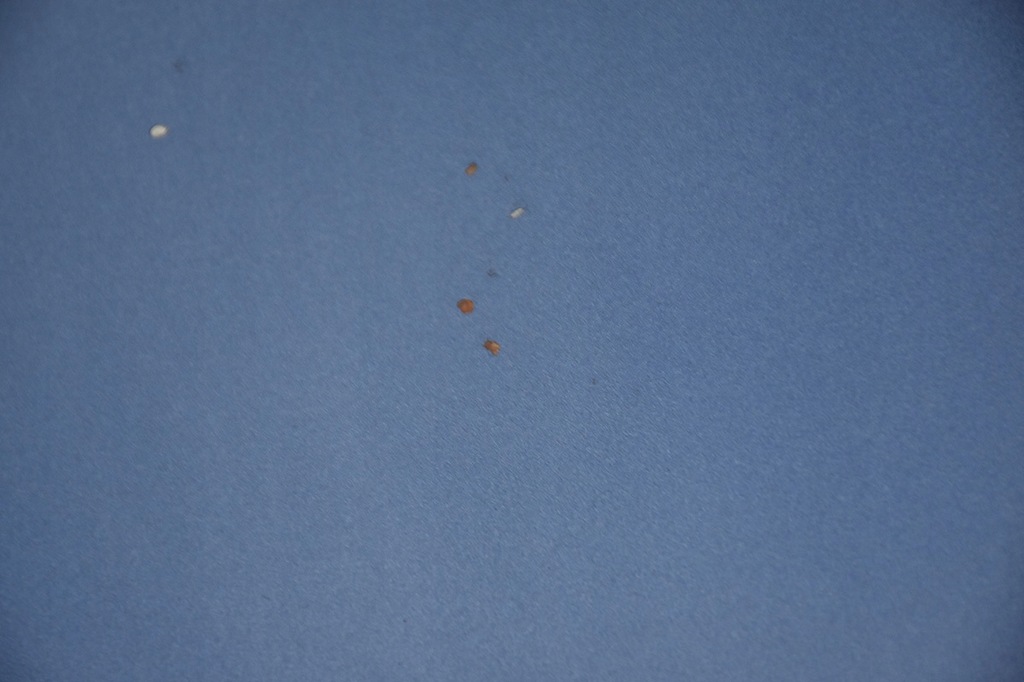 фото №11, Капот крышка двигателя mercedes c-klasa w203