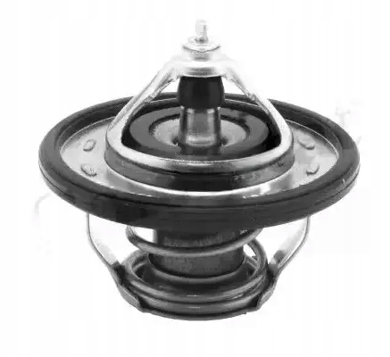 Купити Термостат th7239.90j calorstat by vernet hyundai