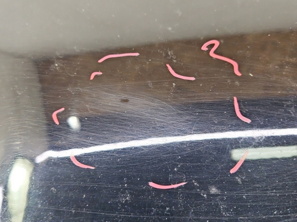 фото №5, Кришка багажника задня задня багажника alfa romeo 159 sedan чорний 802/b