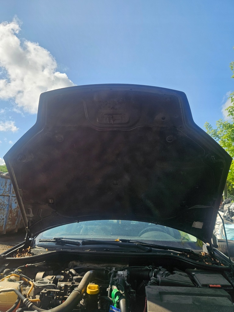 фото №10, Капот renault laguna iii teb66