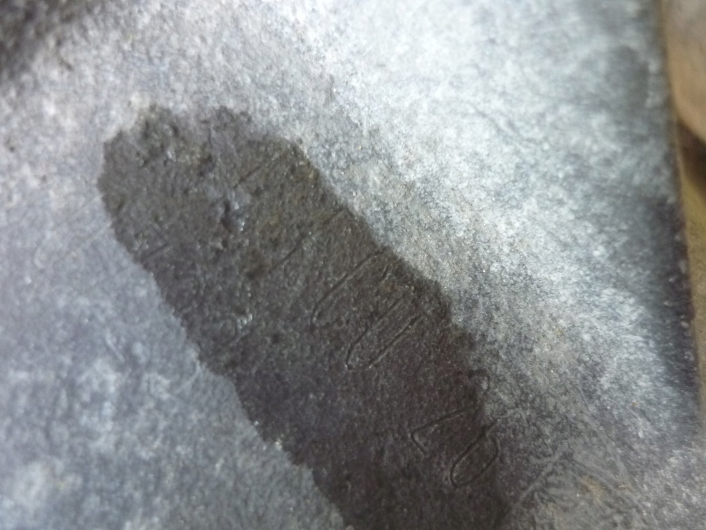 фото №11, Коробка передач передач vw polo iv 4 8n fcu 5 передач 80tyś