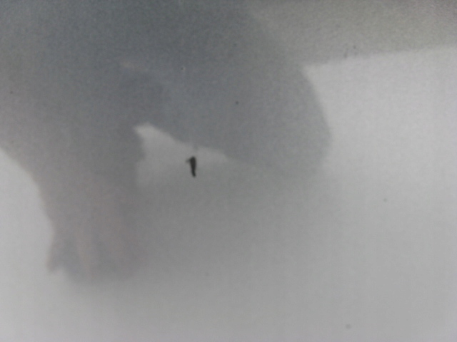 фото №5, Дверь левый перед skoda superb ii lf9h