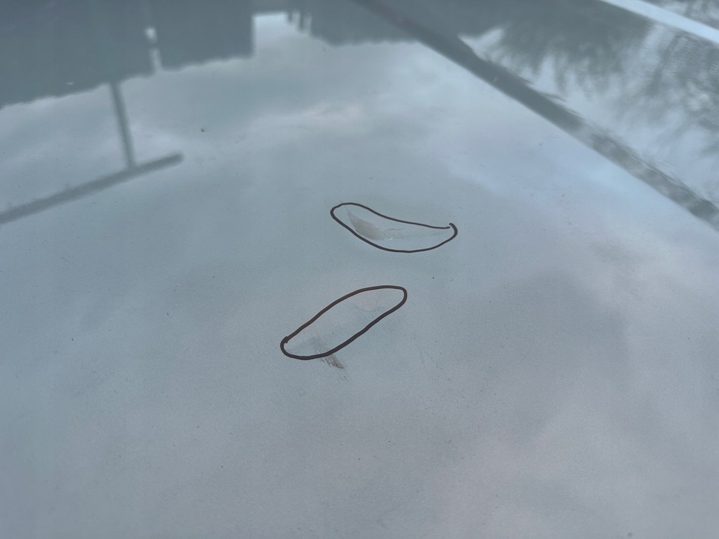 фото №4, Капот bmw 5 g60 g61