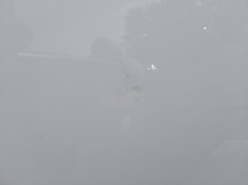 фото №7, Дверь перед правое kia pro ceed i 3d белый