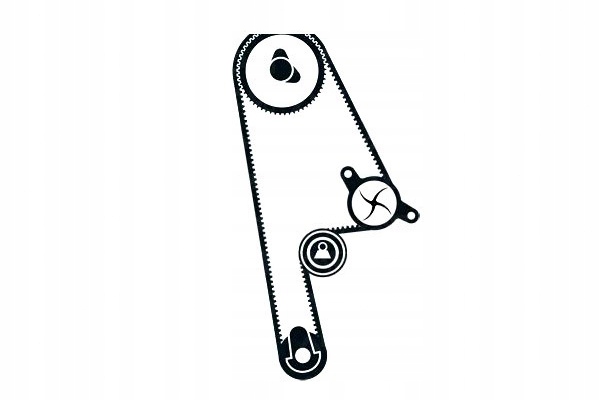 фото №14, Комплект - набір ремінь розподільного валу [skf]