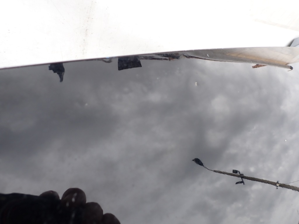 фото №10, Ford galaxy mk4 16- крышка багажника багажника