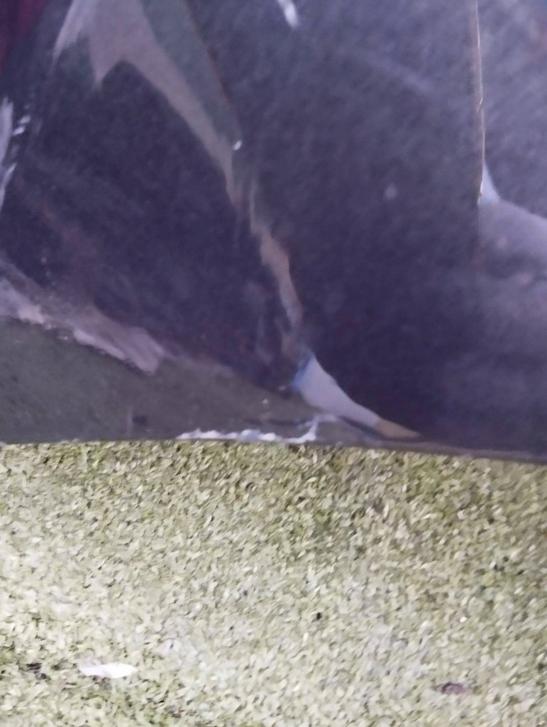 фото №11, Капот крышка двигателя opel zafira c 12-